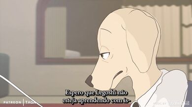 "Assista o vídeo porno brasileiro com labradores de cauda!"