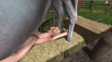 'Amy's Big Donkey Adventure'