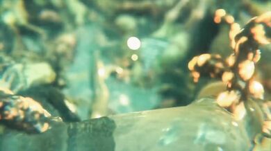 'Unleashing the Beast Within: Ada Wong's Tentacular Rework'