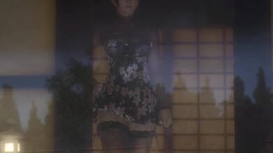 'Exploring the Depths of Passion with Kasumi and Helena in the Shower Scene from Dead or Alive'.