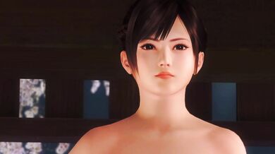 'Exploring the Depths of Passion with Kasumi and Helena in the Shower Scene from Dead or Alive'.
