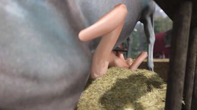 "The Farmer's Daughter and the Donkey - Amy's Exploration"