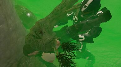 'Halo Flood Sex 2 : The Aftermath'