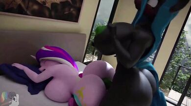 'Chrysalis x Cadence | Sweet Dreams'
