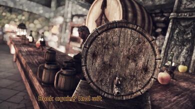 'The Tavern - A Hid*den Camera Perspective'
