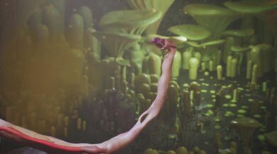 "When the Elven Princess Bella stumbled upon a hidden Xenomorph nest, she never imagined that it would be her undoing... or her salvation."