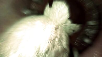 'The Uncensored Adventures of Asura'