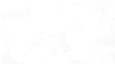 'Gagaga Girl and Her Waero Lover'