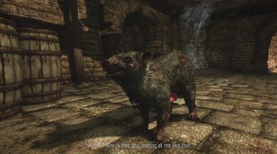 'The Forbidden Dungeon'