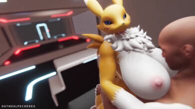 'Lost In Refragmentation - The Hentai Adventures Of Renamon'
