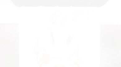 'The Sexy Inugami and Kitten in a Naughty Game'