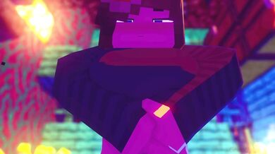 The Minecraft HMV: Mining For Pleasure.