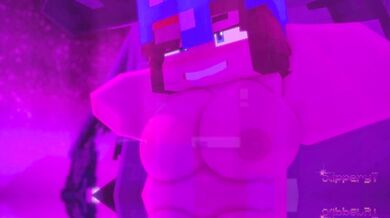The Minecraft HMV: Mining For Pleasure.