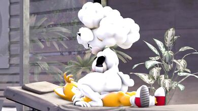 "The Tailor Caught in the Lanolized Sheets"