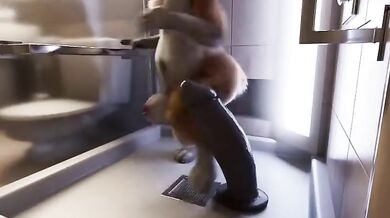 The Shower Corgi: A Hentai Adventure