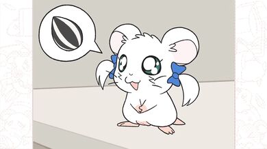 "One night with the office hamster"