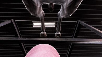 "A Taste for Virtual Reality - Stallion 1.10 Gameplay"