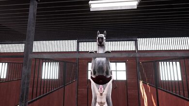 "A Taste for Virtual Reality - Stallion 1.10 Gameplay"