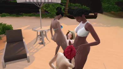 "Sexy MILFs on the beach... Part Two! (With voice acting)"