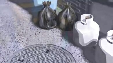 "A Hot Waitress at the Family Diner in the Back Alley"