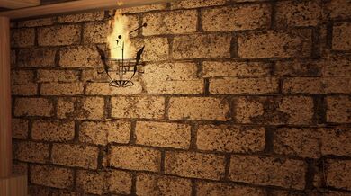 "Tor*ture chamber fantasy: Bound and gagged in the dungeon - Bonus Version"