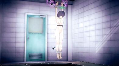 Hey guys, we have a plan to capture some rabbits! Let's get started and show those bunnies who the real team is!