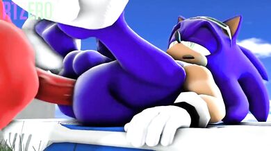 'Sonic Riding'