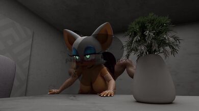 'Sonic the Hedgehog - Rouge the Bat'