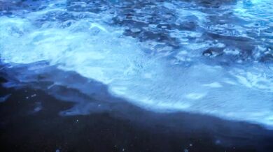 "Beyond the Shoreline: The Naughty Tides of Wuthering Cove (4K@60)"