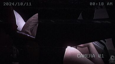 "Bloody and Bound: The Three Blacked Beasts"