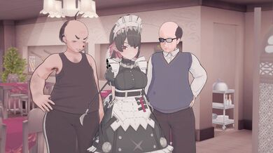 "Hired Maids Hire Hid*den Cams to Record Ellen and Joe's Full Service Maid Service"