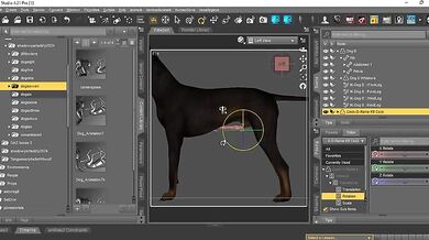 'Adding the Cockorama K9 cock to Daz Dog 8 - A step-by-step guide for beginners'