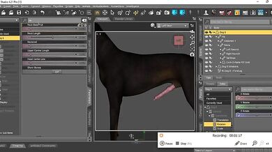 'Adding the Cockorama K9 cock to Daz Dog 8 - A step-by-step guide for beginners'