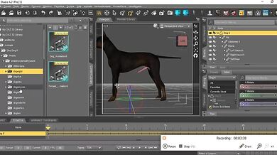 'Adding the Cockorama K9 cock to Daz Dog 8 - A step-by-step guide for beginners'