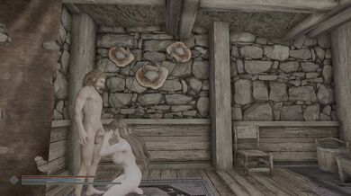 "[skyrim dogma]the girl sold herself: A Tale of Sex, Magic and Dark Secrets"