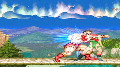 'Ultimate Hentai Fighter'