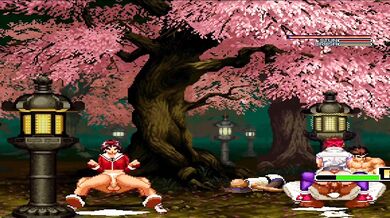 'Hentai MUGEN: The Ultimate Battle of the Flesh'