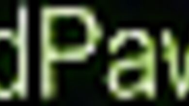 "The Odd Paws X Yiff Hero 22 - Guess!"