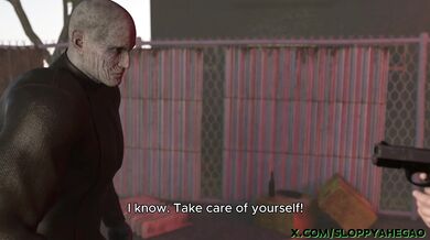 'Busted! Ada Wong gets caught making out with Mr. X behind his wife's back in a seedy motel room'