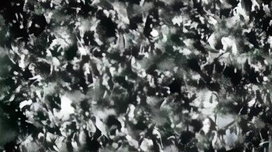 "The Cursed Love Tape - Don't Watch Alone!"