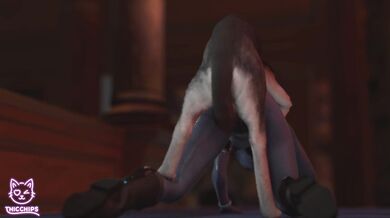 What happens when you add a bunny to the mix? Find out in "A Bunny's Revenge".