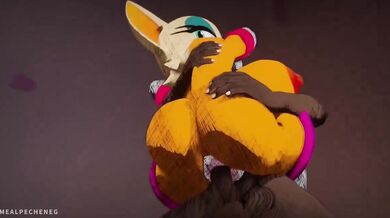 The Sexy Sonic Rouge Compilation, where Rouge the Bat and her love interest Sonic the Hedgehog engage in a series of passionate encounters.