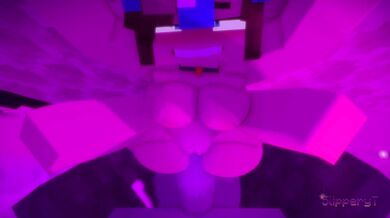 'Sex in Minecraft - Slippery Tunnel HMV'