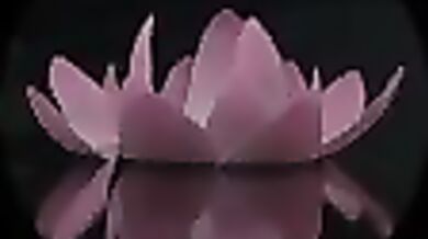 "Hentai: A Sensual Sonnet of Pleasure Compilation"