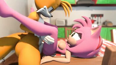 'The Hedgehog and Amy Rose - A Love Story'