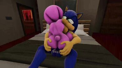 'The Hedgehog and Amy Rose - A Love Story'