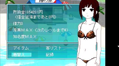 "Pixels in Paradise: A Beach Adventure Game"