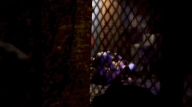 'Massive Cocks Inside Miko's Body - Hentai Gangbang by Hollow'