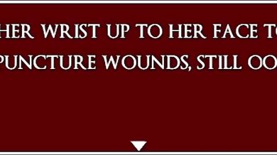 "Unleashing the Bloodlust: Crimson Veil Vampire Hunter Coffin Trap"