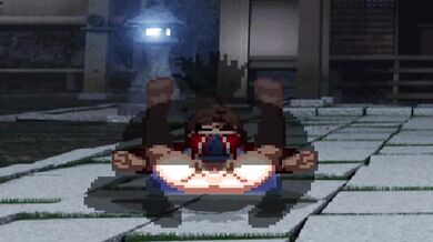 The Kung Fu Master and Ryougi's Sexual Encounter